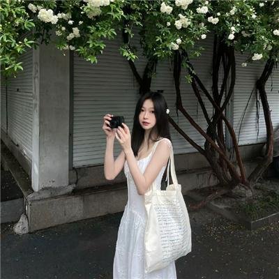 大清后宫